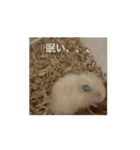 かわいこちゃんたちのstamp（個別スタンプ：14）