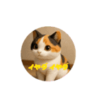 めっちゃ可愛い猫cutecat（個別スタンプ：2）
