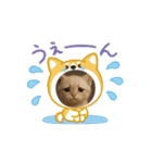 めっちゃ可愛い猫cutecat（個別スタンプ：5）