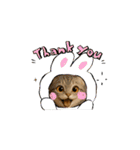めっちゃ可愛い猫cutecat（個別スタンプ：7）