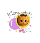 めっちゃ可愛い猫cutecat（個別スタンプ：11）