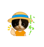 めっちゃ可愛い猫cutecat（個別スタンプ：14）