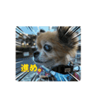 くんくんの日常①（個別スタンプ：2）