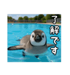 残暑のコウテイペンギン（個別スタンプ：6）