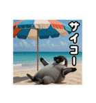 残暑のコウテイペンギン（個別スタンプ：7）