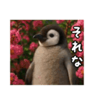 残暑のコウテイペンギン（個別スタンプ：12）