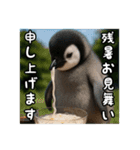 残暑のコウテイペンギン（個別スタンプ：15）