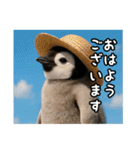 残暑のコウテイペンギン（個別スタンプ：17）