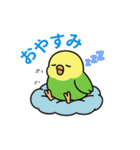 インコのゆるかわスタンプ40個（個別スタンプ：2）
