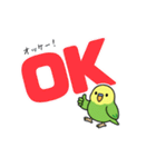 インコのゆるかわスタンプ40個（個別スタンプ：7）