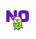 インコのゆるかわスタンプ40個（個別スタンプ：8）