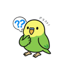 インコのゆるかわスタンプ40個（個別スタンプ：11）