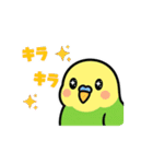 インコのゆるかわスタンプ40個（個別スタンプ：12）