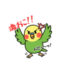 インコのゆるかわスタンプ40個（個別スタンプ：18）