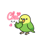 インコのゆるかわスタンプ40個（個別スタンプ：22）