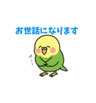 インコのゆるかわスタンプ40個（個別スタンプ：29）