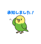 インコのゆるかわスタンプ40個（個別スタンプ：30）