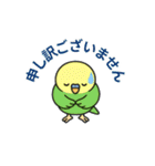 インコのゆるかわスタンプ40個（個別スタンプ：31）