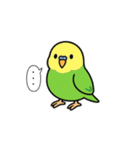 インコのゆるかわスタンプ40個（個別スタンプ：37）