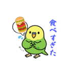 インコのゆるかわスタンプ40個（個別スタンプ：38）