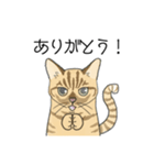 ねこのいも＆まっつぁん スタンプ（個別スタンプ：1）