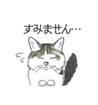 ねこのいも＆まっつぁん スタンプ（個別スタンプ：2）