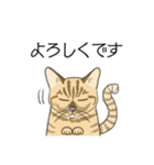 ねこのいも＆まっつぁん スタンプ（個別スタンプ：3）