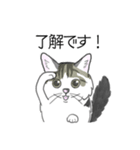 ねこのいも＆まっつぁん スタンプ（個別スタンプ：4）