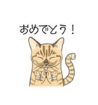 ねこのいも＆まっつぁん スタンプ（個別スタンプ：5）