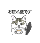 ねこのいも＆まっつぁん スタンプ（個別スタンプ：6）