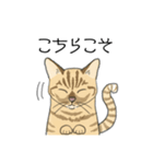 ねこのいも＆まっつぁん スタンプ（個別スタンプ：7）