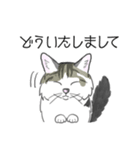 ねこのいも＆まっつぁん スタンプ（個別スタンプ：8）