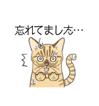ねこのいも＆まっつぁん スタンプ（個別スタンプ：9）