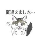 ねこのいも＆まっつぁん スタンプ（個別スタンプ：10）
