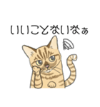 ねこのいも＆まっつぁん スタンプ（個別スタンプ：11）