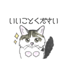 ねこのいも＆まっつぁん スタンプ（個別スタンプ：12）
