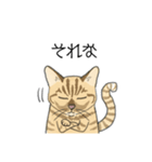 ねこのいも＆まっつぁん スタンプ（個別スタンプ：13）