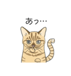 ねこのいも＆まっつぁん スタンプ（個別スタンプ：15）