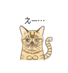 ねこのいも＆まっつぁん スタンプ（個別スタンプ：17）
