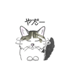 ねこのいも＆まっつぁん スタンプ（個別スタンプ：18）