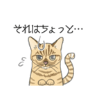 ねこのいも＆まっつぁん スタンプ（個別スタンプ：19）