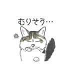 ねこのいも＆まっつぁん スタンプ（個別スタンプ：20）
