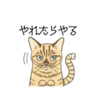 ねこのいも＆まっつぁん スタンプ（個別スタンプ：21）