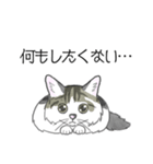 ねこのいも＆まっつぁん スタンプ（個別スタンプ：22）