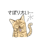 ねこのいも＆まっつぁん スタンプ（個別スタンプ：23）
