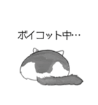 ねこのいも＆まっつぁん スタンプ（個別スタンプ：24）