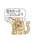 ねこのいも＆まっつぁん スタンプ（個別スタンプ：25）