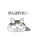 ねこのいも＆まっつぁん スタンプ（個別スタンプ：26）