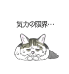 ねこのいも＆まっつぁん スタンプ（個別スタンプ：28）