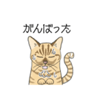ねこのいも＆まっつぁん スタンプ（個別スタンプ：29）